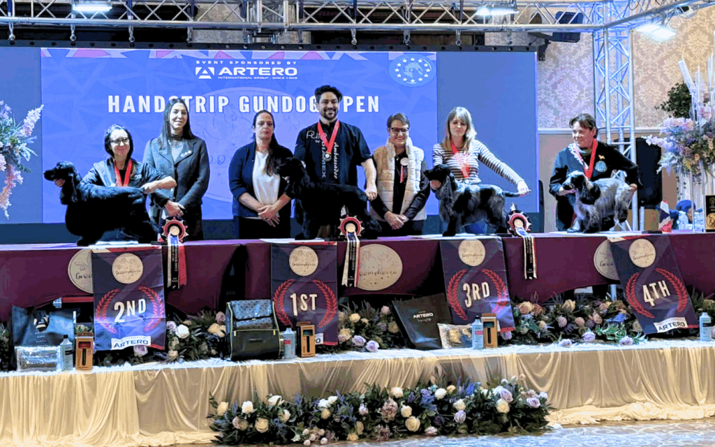 GROOMPHORIA CYRIL GUNDOG