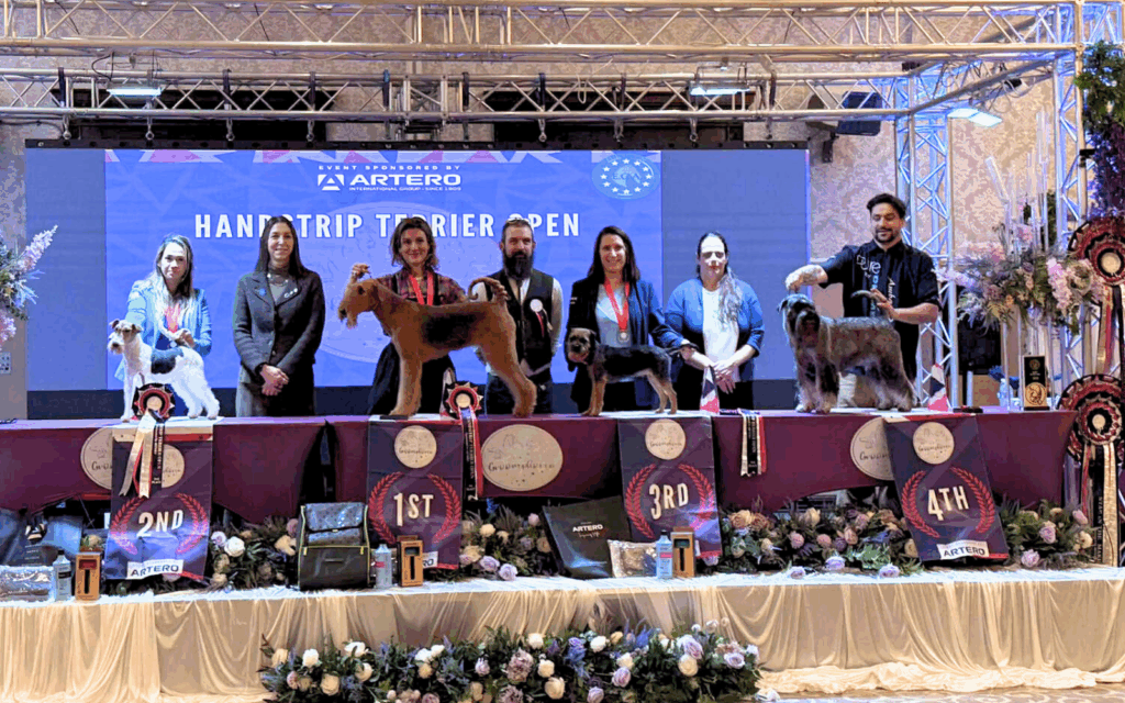 GROOMPHORIA CYRIL TERRIER